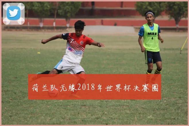 荷兰队无缘2018年世界杯决赛圈