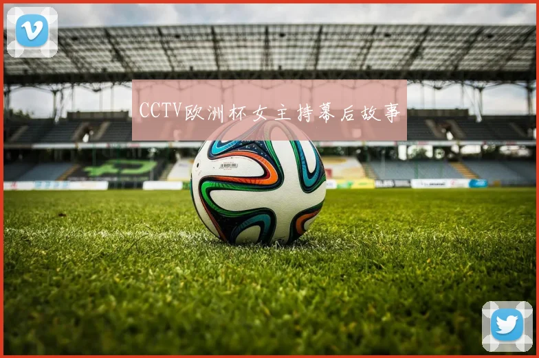CCTV欧洲杯女主持幕后故事