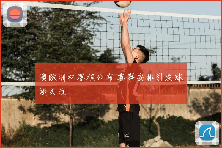 澳欧洲杯赛程公布 赛事安排引发球迷关注